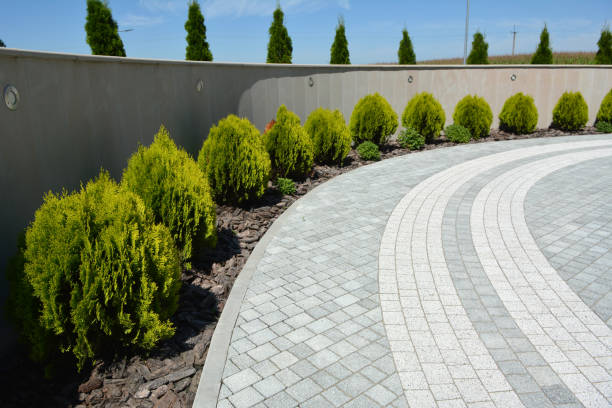 Best Driveway Paving Company  in Mccoll, SC